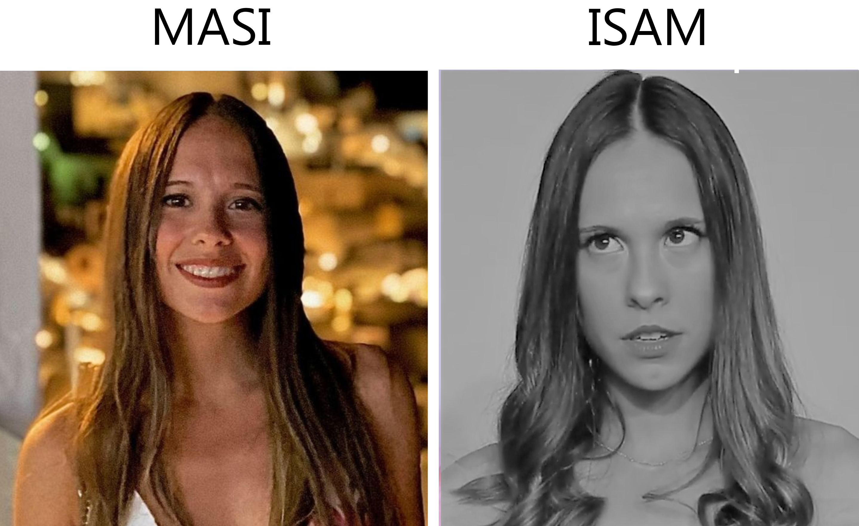 Fuentes de la historia (Isam) 